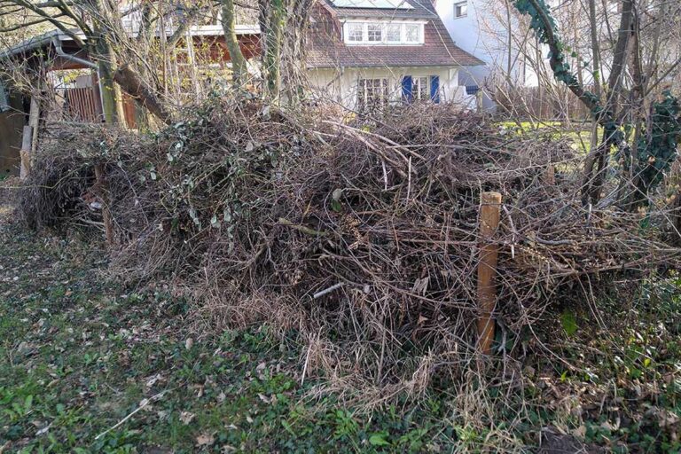 Eine Benjeshecke wurde in einem Garten errichten, im Hintergrund sieht man das Haus.